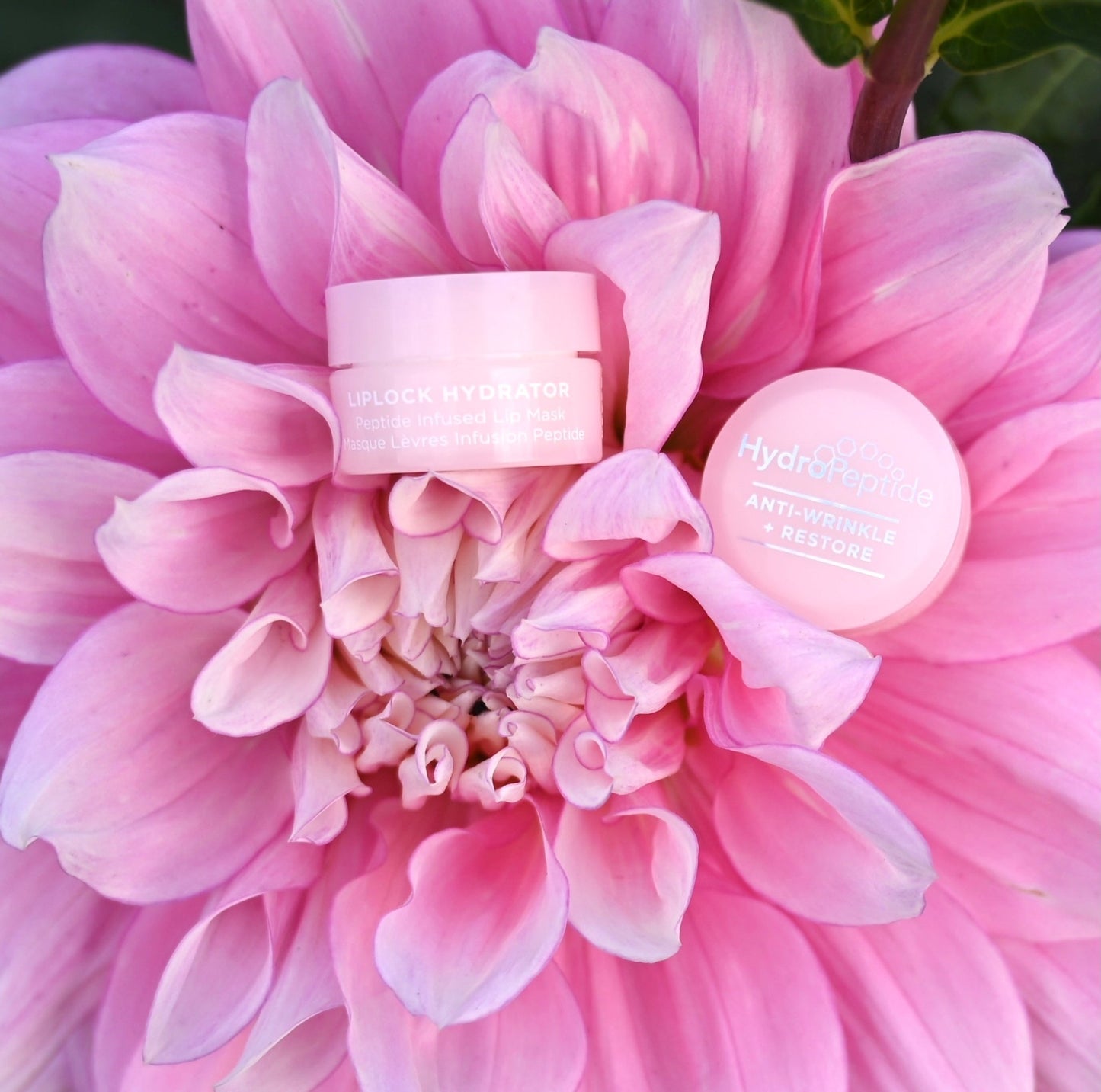 HydroPeptide Lip Service - Mooii By Angelique